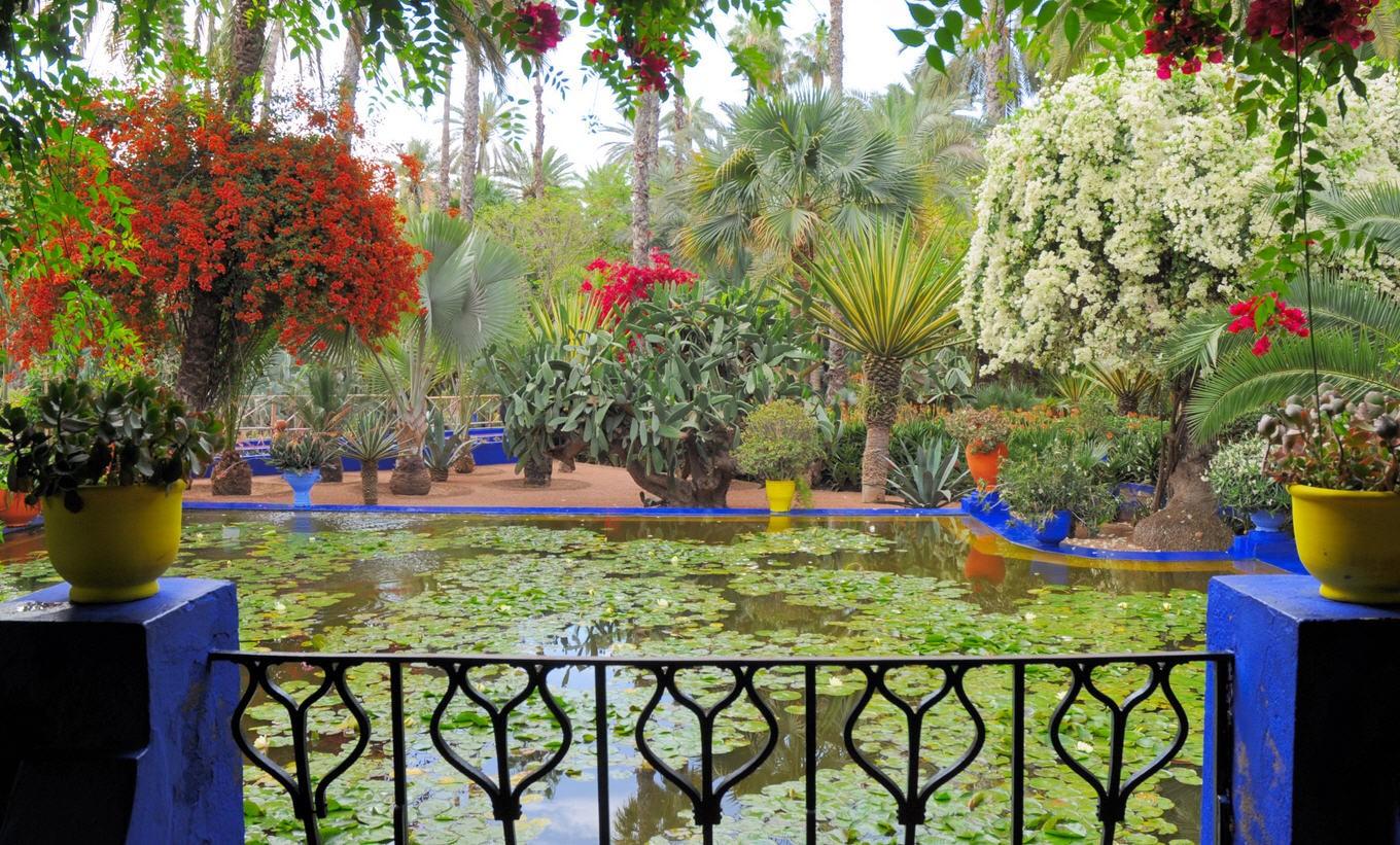 Excursion en calèche et visite du jardin Majorelle